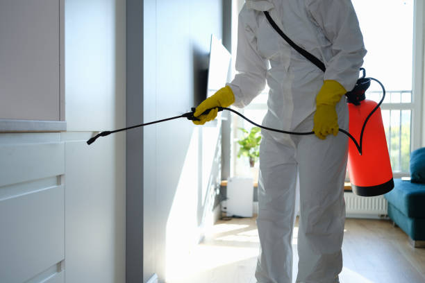 Best Mold Damage Repair  in Farngton Hills, MI