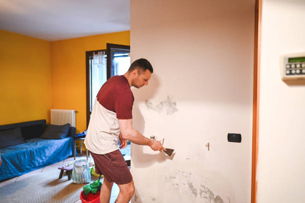 Best Professional Mold Removal  in Farngton Hills, MI